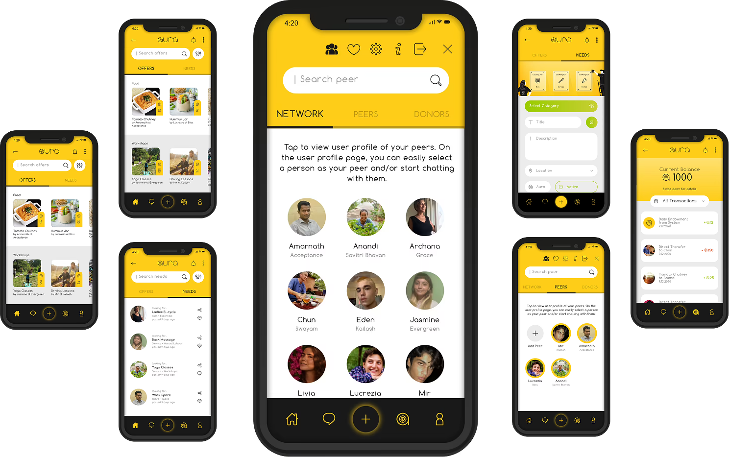 Application screenshot